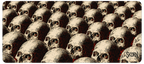 THE OSSUARY: BONEYARD